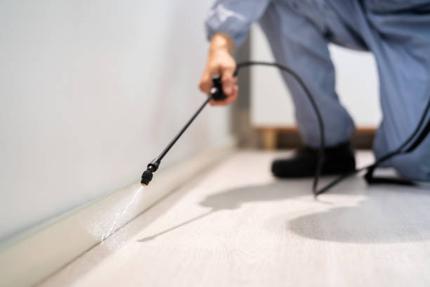 Professional exterminator conducting IPM assessment in Fairfax
