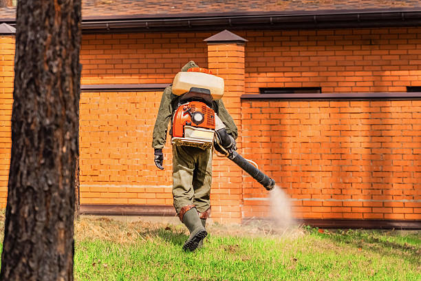 Bed Bug Clearance Verification and Documentation in Fairfax